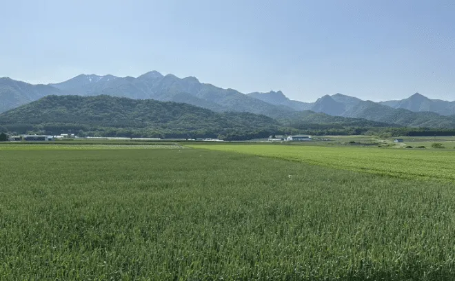 畑用の客土として火山灰を活用